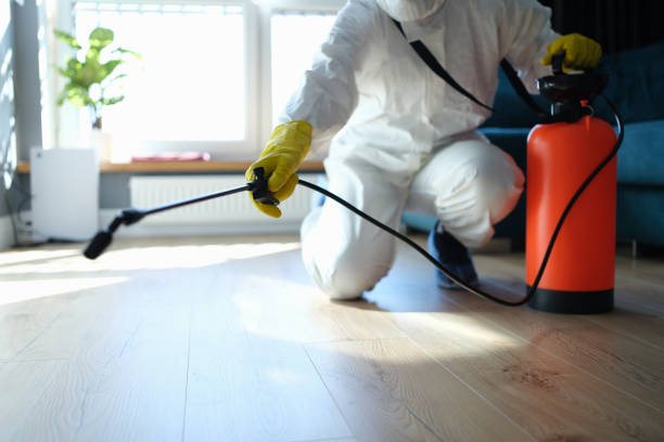 Reliable Sewage Cleanup contractor in Beaufort, NC by Trauma Clean Pros
